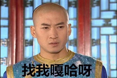 尔康无奈表情包,揭秘宫廷智囊的内心独白
